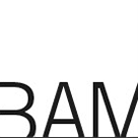 Brooklyn Academy of Music Logo