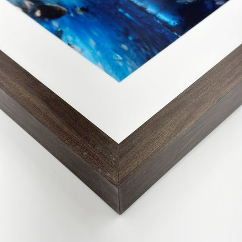 Walnut Veneer Frame