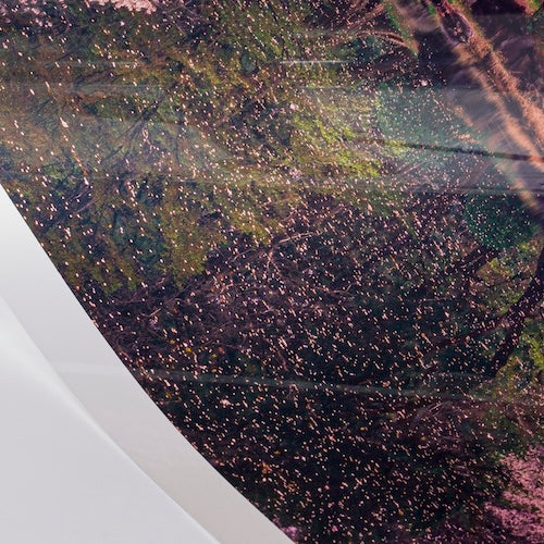 C-Print: Print Photography on Museum Quality, Archival C-Print Papers